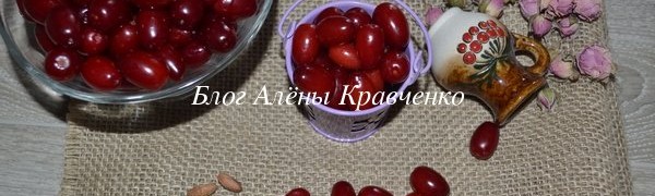 Кизил. Користь і шкода